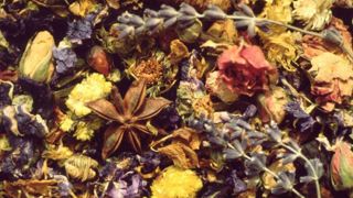 Le salon italien Flormart accueille une conférence en live sur les aromatiques, le 1er décembre 2020.©Erbaleforum